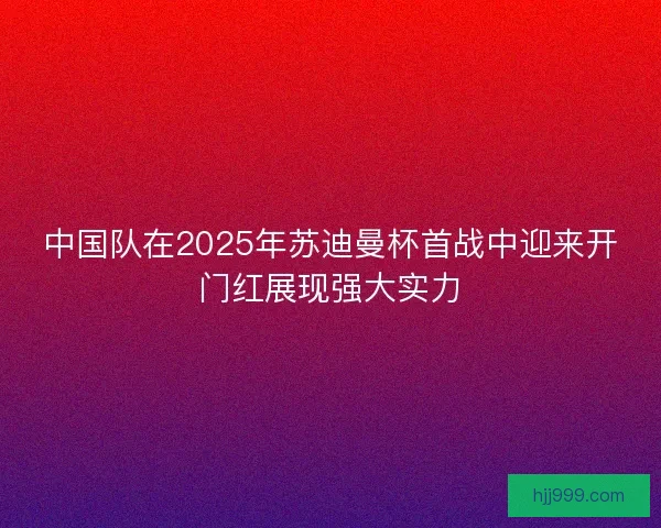 中国队在2025年苏迪曼杯首战中迎来开门红展现强大实力
